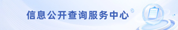 信息公开查询服务