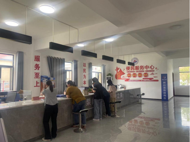 新洲场2024年“政府公开日” 活动总结