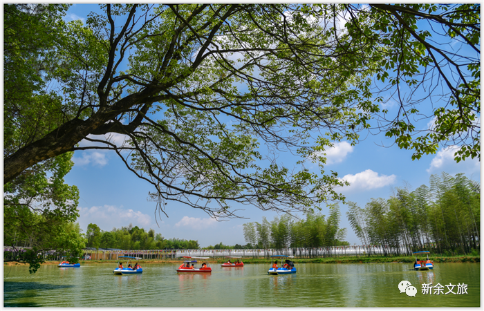 新余市渝水区罗坊镇锦园